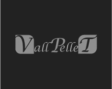logo vallpellet